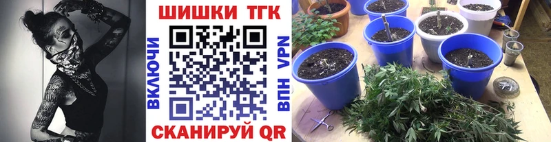 Где можно купить наркотики Отрадная ГАШИШ  АМФЕТАМИН  Меф  МДМА  СК  Марихуана 