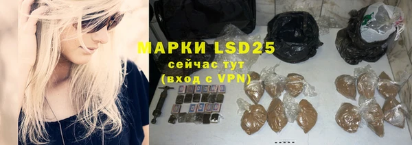 прущие грибы Балабаново