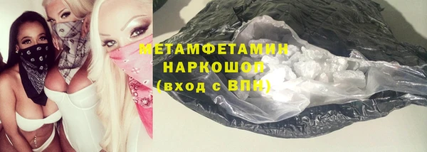 прущие грибы Балабаново