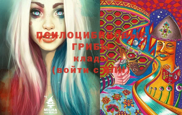 гидра Беломорск