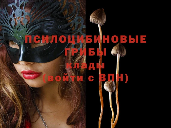 герыч Балахна