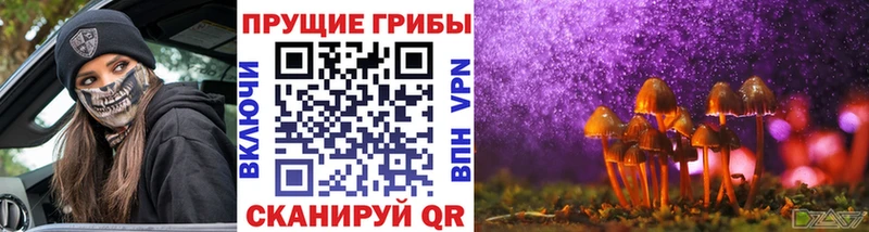 Галлюциногенные грибы MAGIC MUSHROOMS  как найти   Отрадная 